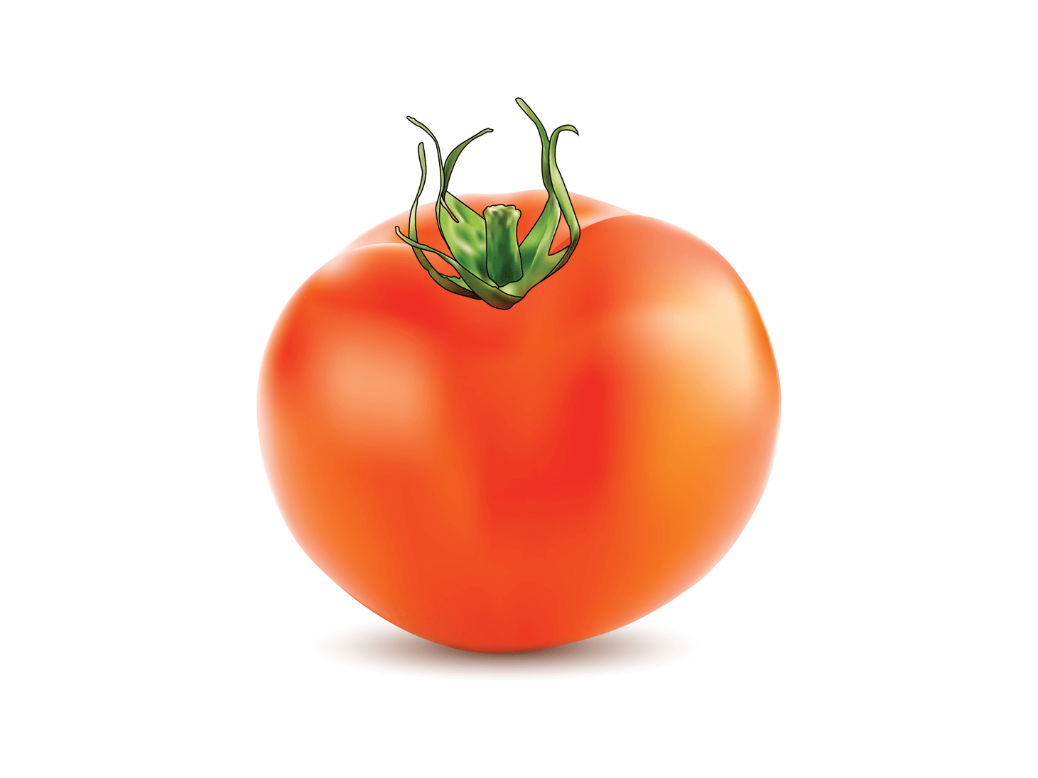 Ripe Tomato